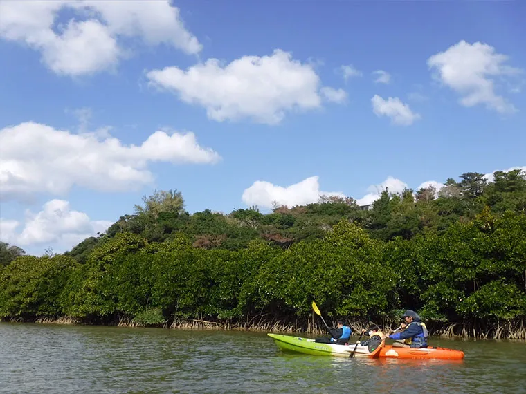 環境関連ニュース｜株式会社南西環境研究所